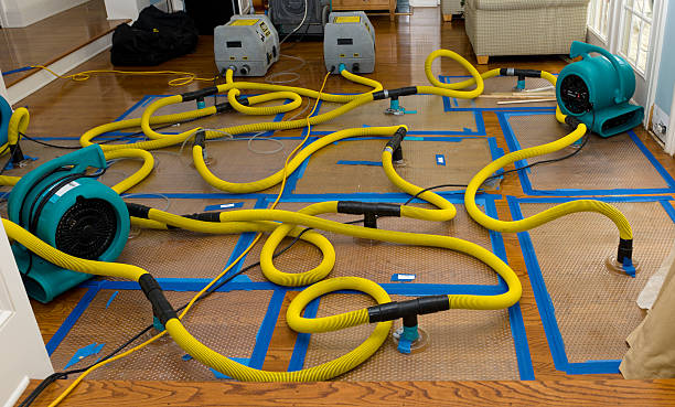 Professional Basement Flood Cleanup technician working in Milan, OH